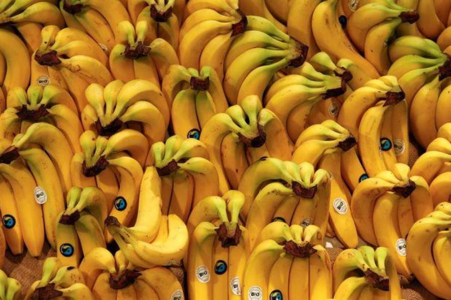 Полицейские оценили чистоту и подсчитали стоимость кокаина в ящиках с бананами