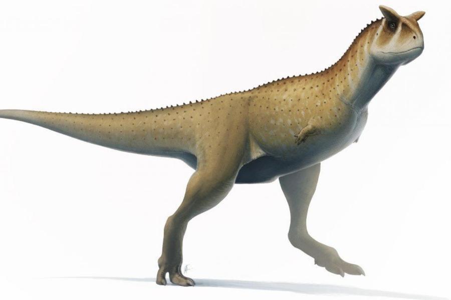 По Аргентине бродили «безрукие динозавры»