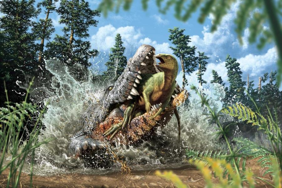 Доисторический крокодил пообедал динозавром перед смертью