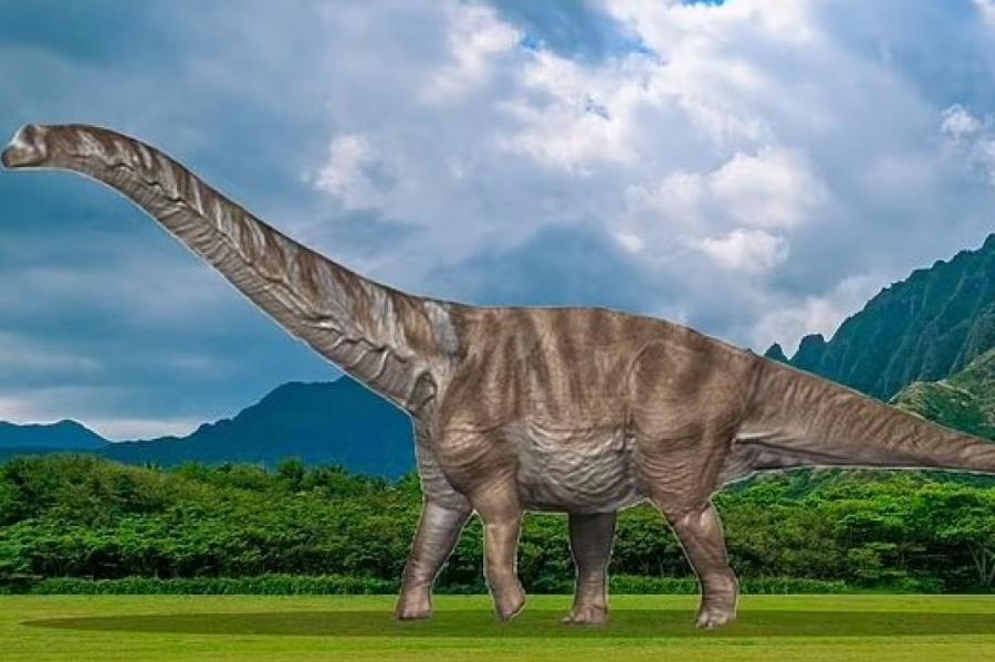 В Каталонии нашли крупнейшего титанозавра Европы