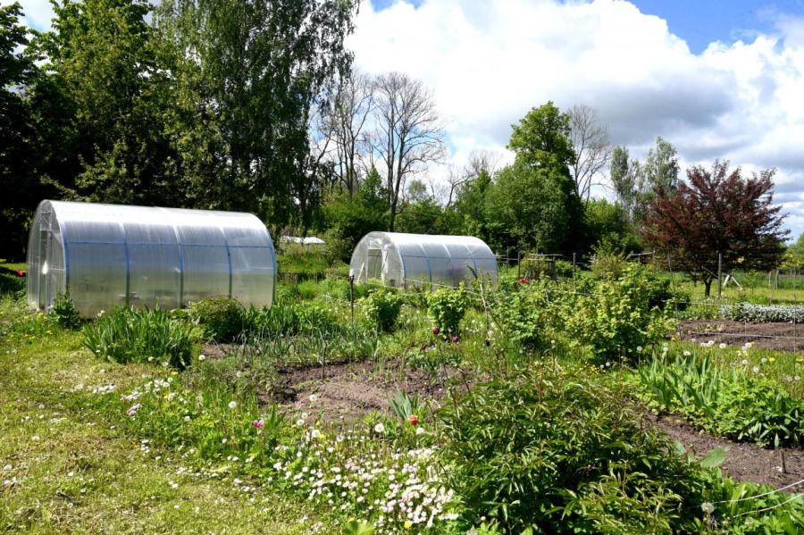 Правительство Латвии проводит инвентаризацию садов и огородов населения
