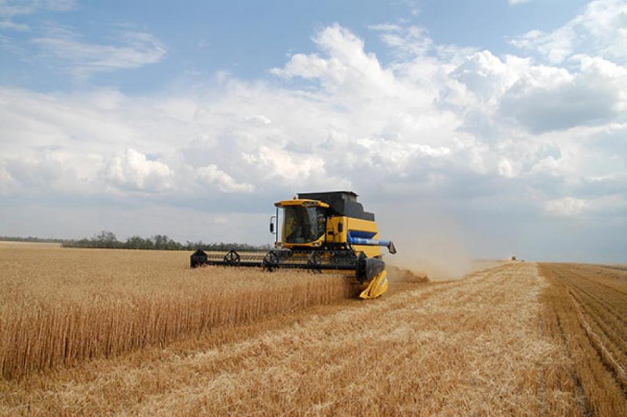 «Иначе будет голод»: Канада намерена помочь вывезти зерно из портов Украины