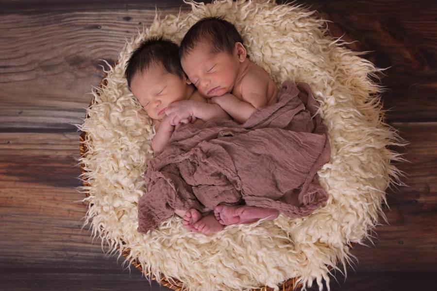 Интересные факты о близнецах и двойняшках | заточка63.рф | Дзен