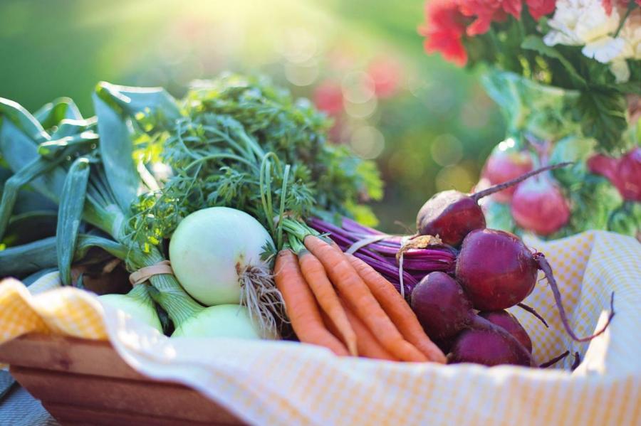 Не выбрасывай кожуру: 9 овощей, которые можно вырастить из отходов