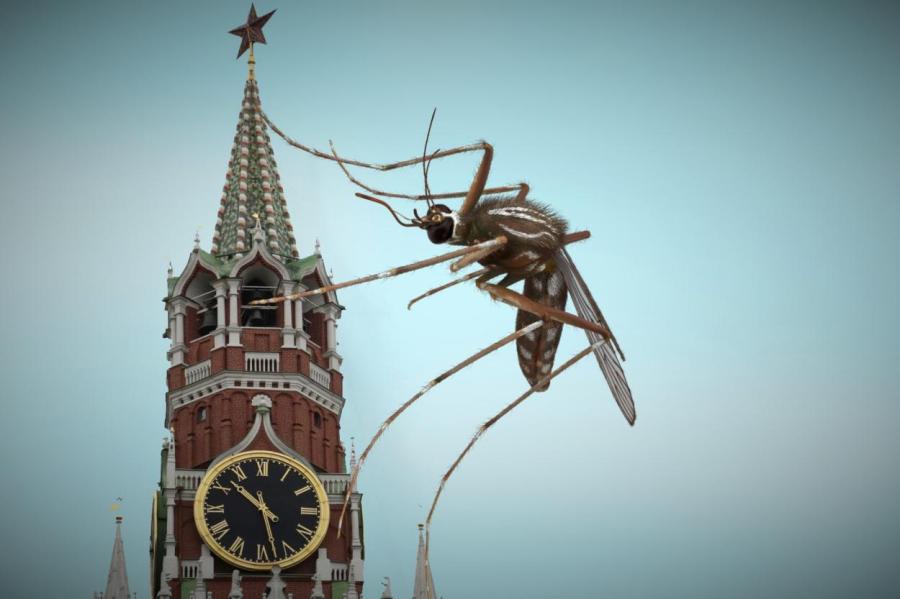 Украина и США готовили «боевых комаров» - Минобороны РФ