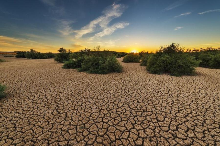 Аномальные засухи и изменение климата лишают Европу воды