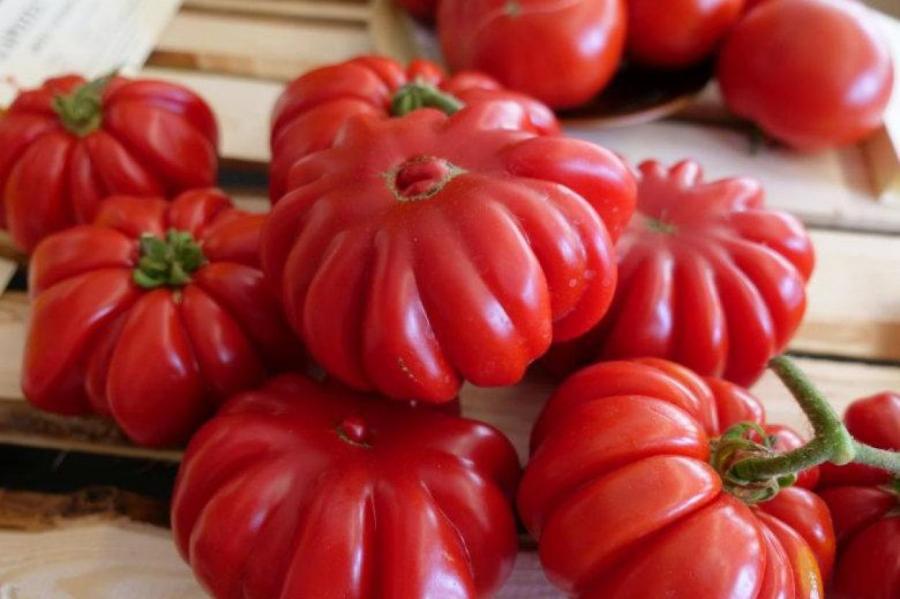 Три простых способа повысить урожайность томатов