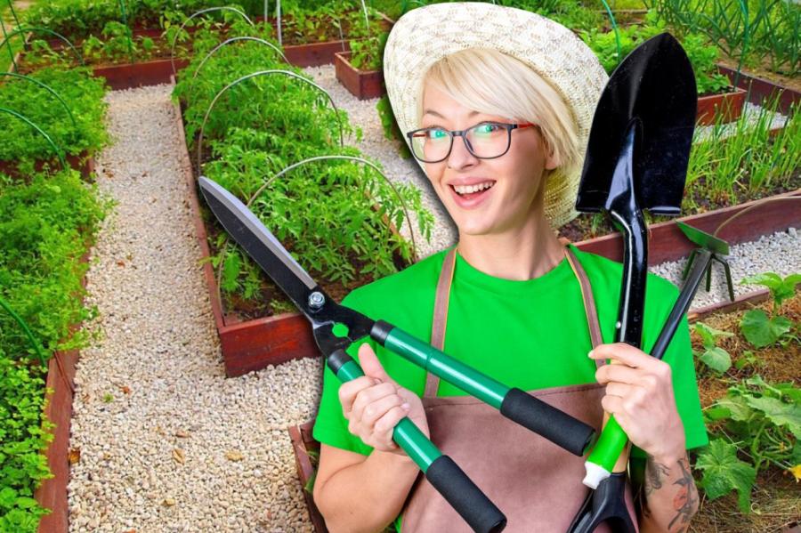 Никогда так не делайте: 5 самых вредных советов для огородников