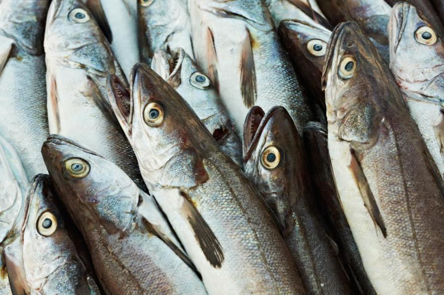 Прощай, треска! Латвийцы могут забыть вкус традиционной рыбы