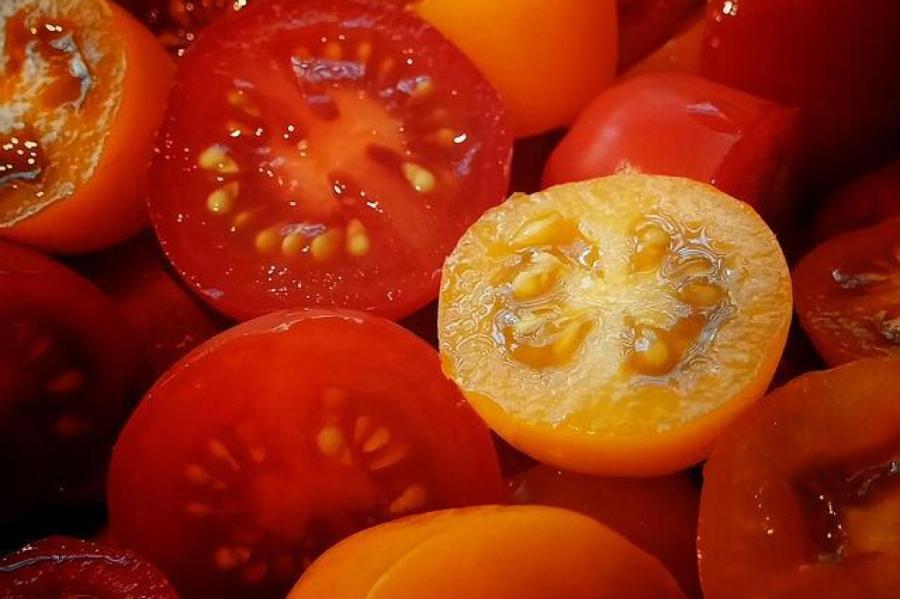 Как собрать семена томатов для посадки на будущий год