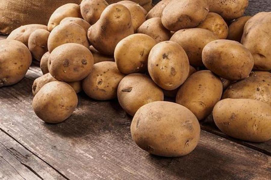 Вместе с каким фруктом нужно хранить картофель, чтобы он не прорастал