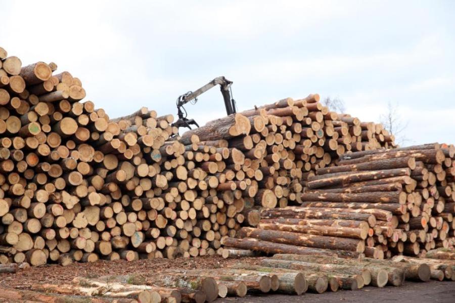 На дворе кризис, но цены на древесину в Латвии только растут