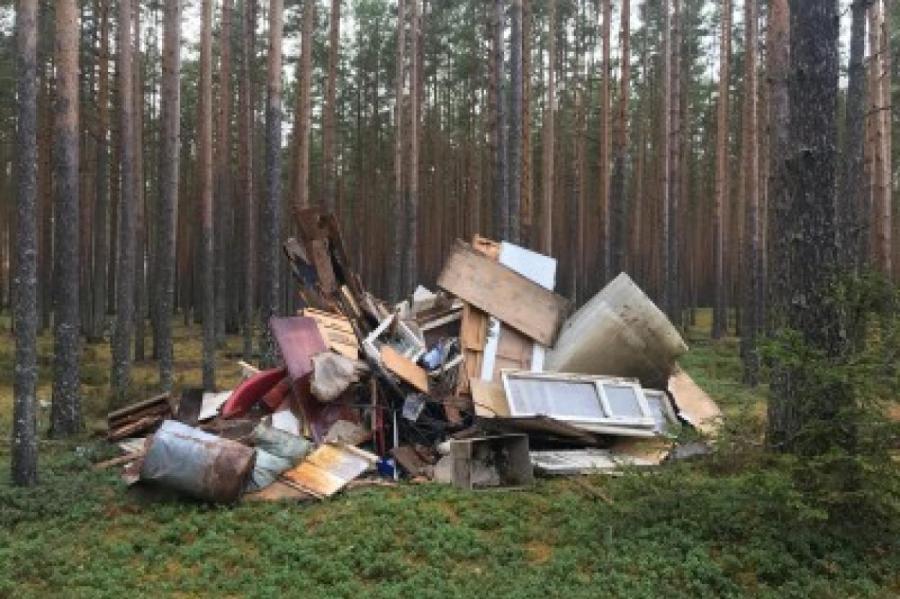 Катастрофа, латвийцы превращают леса в свалки!