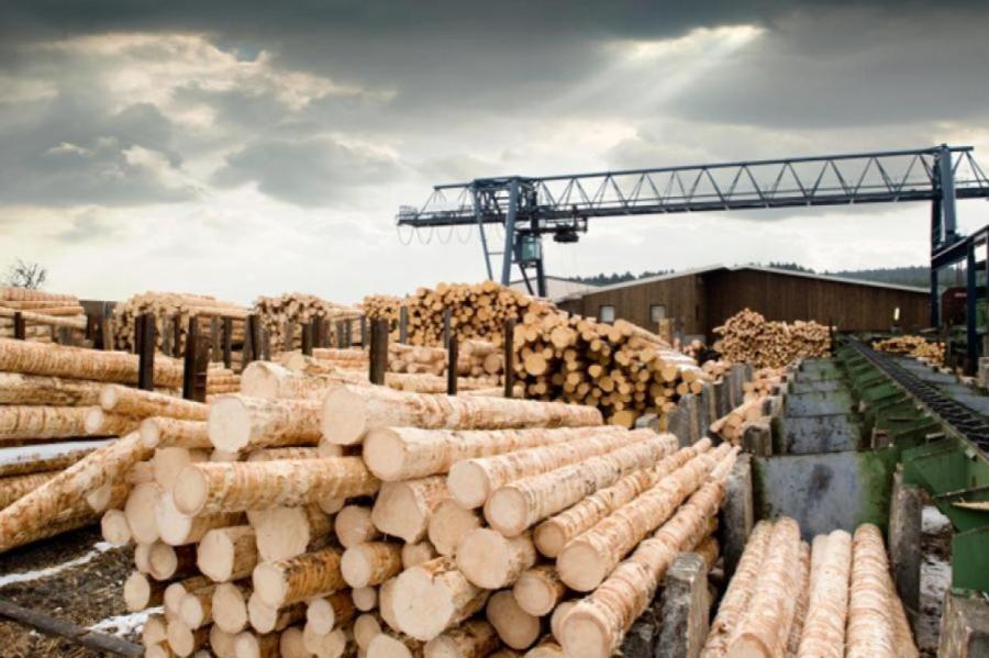 Импорт лесной продукции за восемь месяцев вырос на 12%