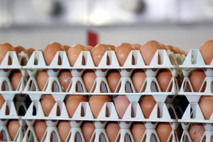 Как в домашних условиях проверить свежесть яиц