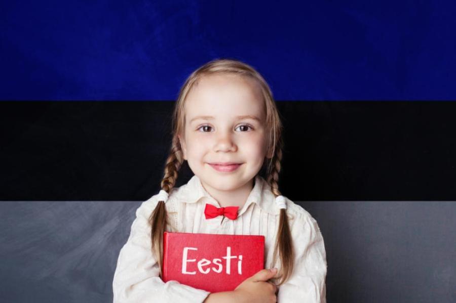 Украинским беженцам дали год на изучение эстонского; потом будут наказывать