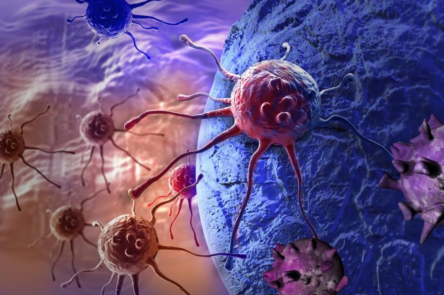 Онкологи создали вакцины от рака на основе состарившихся раковых клеток