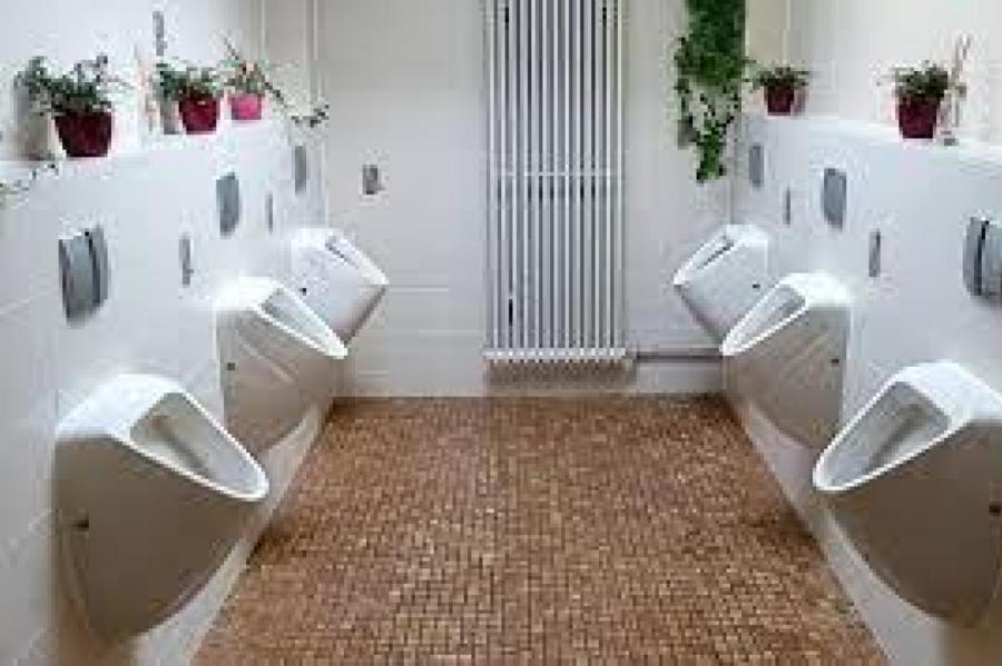 Туалеты - визитная карточка города. Как с этим в Риге?