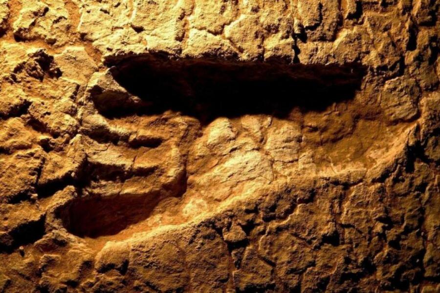 В Испании найдены следы древних людей из родовой линии неандертальцев