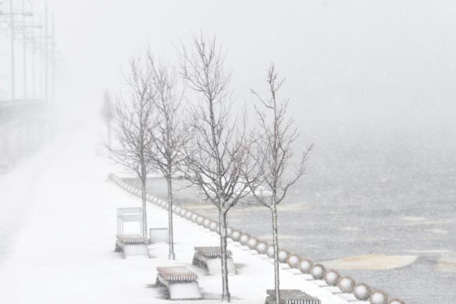 В Латвии объявлено оранжевое предупреждение о сильном снегопаде