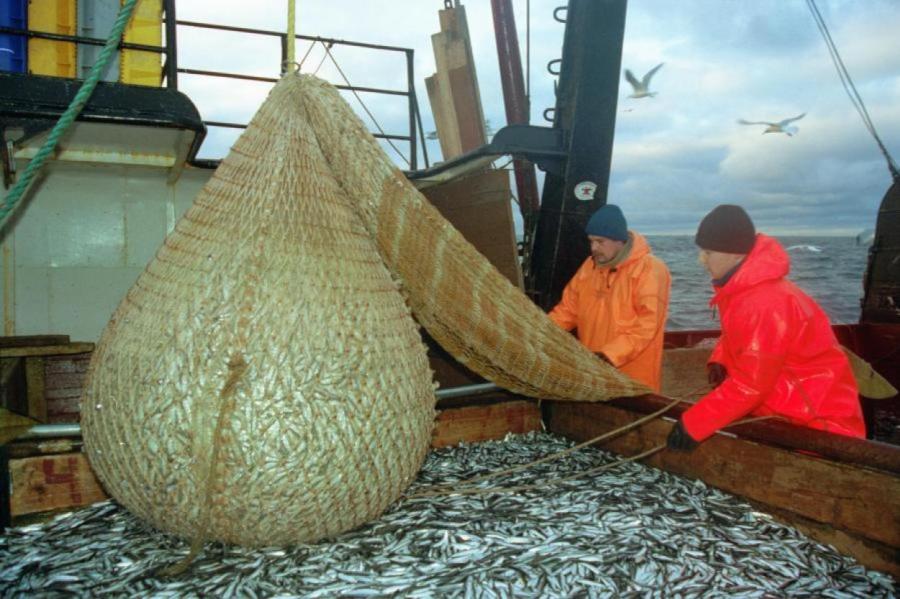 Что кушать будем? Квоты ЕС сожрали рыбу из сетей латвийских рыбаков