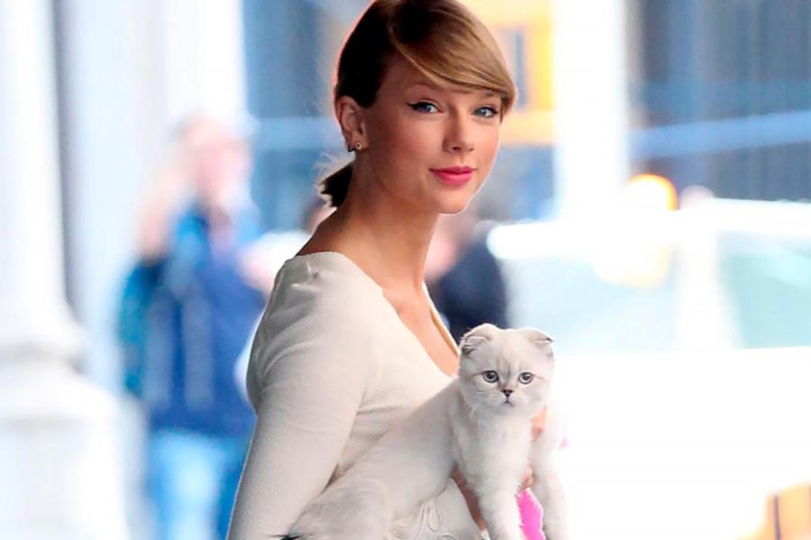 Кошка Тейлор Свифт вошла в топ-3 самых богатых домашних животных в мире