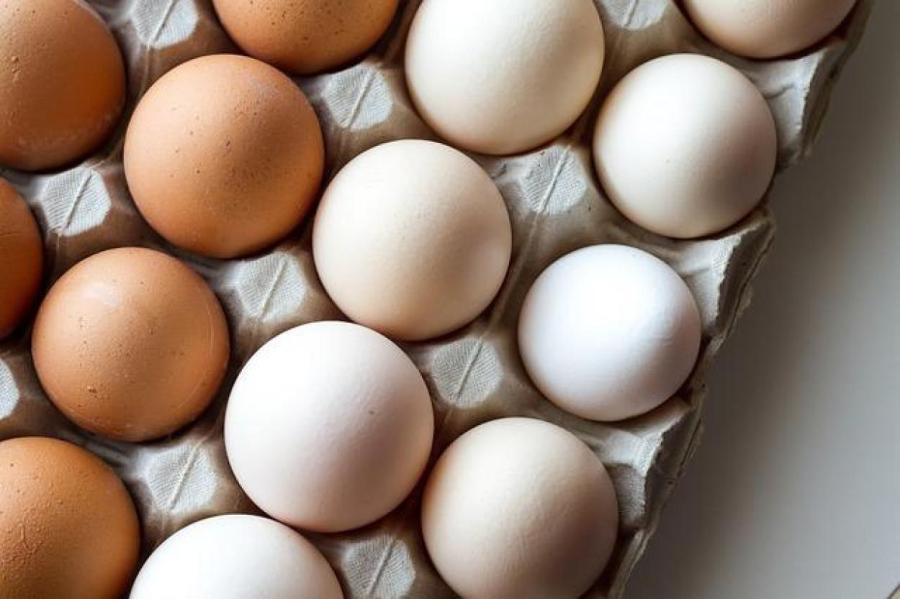 Яйца коричневые и белые - в чем разница | РБК Украина