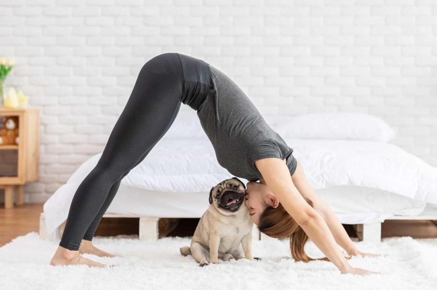 В Великобритании набирает популярность йога со щенками