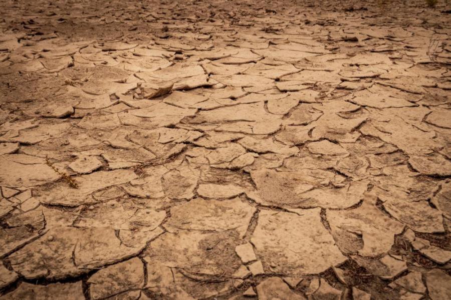 Европа находится на грани катастрофической засухи — ученые