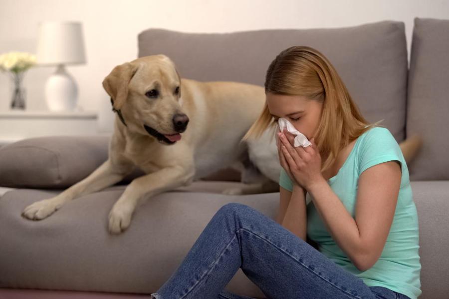 Почему у меня аллергия? 8 причин и факторов появления аллергии - врач