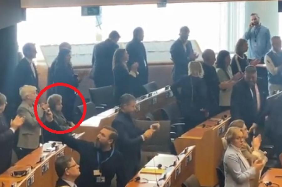 ВИДЕО: только Татьяна Жданок не встала после речи Зеленского в Европарламенте