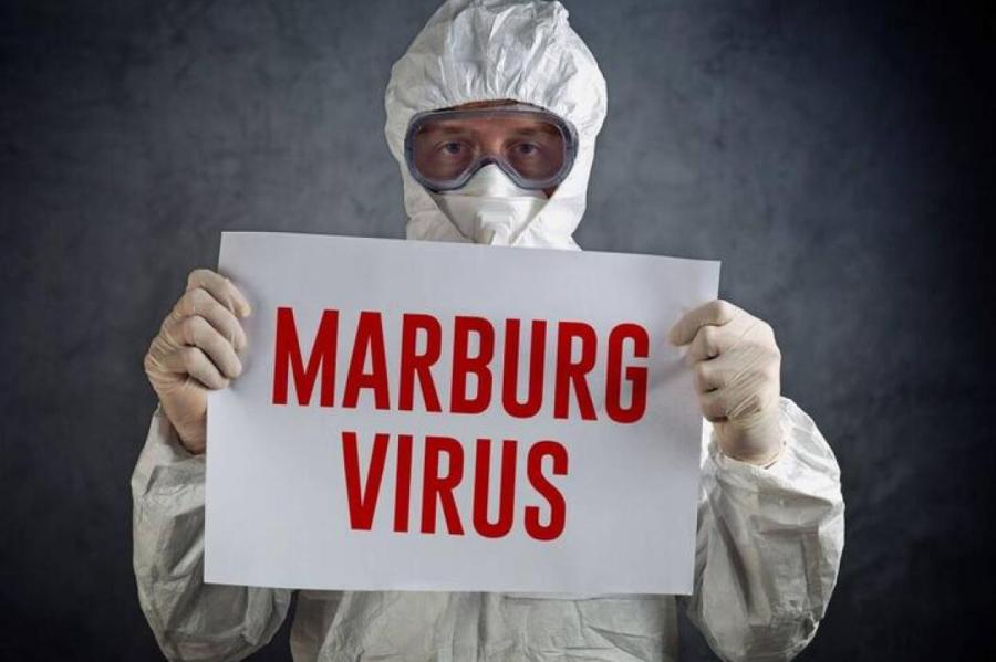 В Африке вспышка вируса Марбург, который превращает человека в призрака