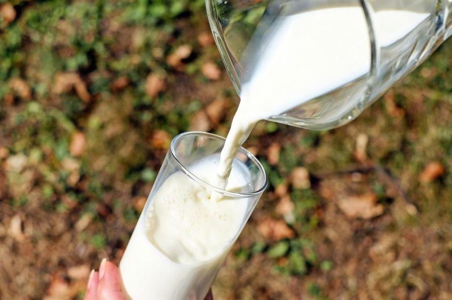 Закупочная цена на сырое молоко в Латвии начала расти