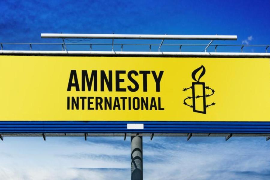 Amnesty International подвергла критике «двойную мораль Запада»