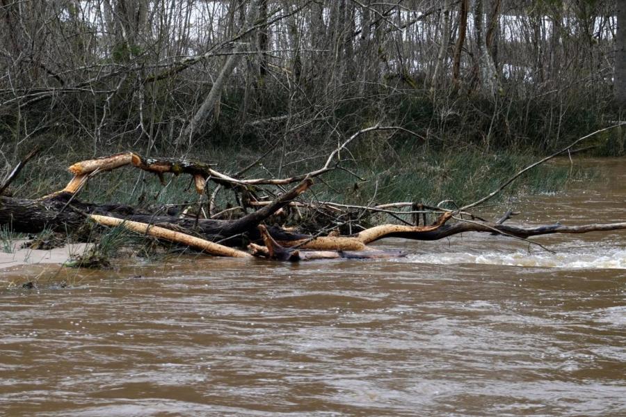 Эксперты рассказали о ситуации на реках: для Даугавы все еще впереди