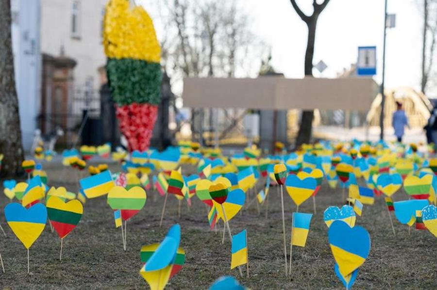 Украинских беженцев в Литве проверят на владение госязыком
