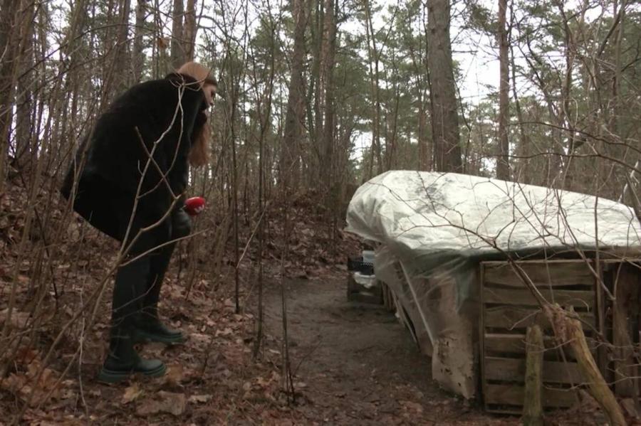 В Юрмальском лесу нашли картонный домик – в нем уже три года живет женщина