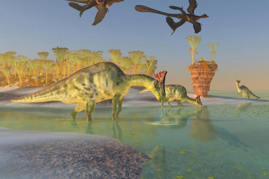Как путешествовали динозавры?