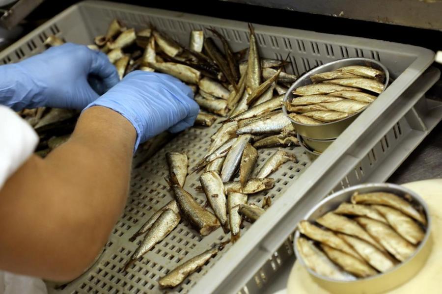 Производители рыбных консервов рассказали, как пережили потерю рынка РФ