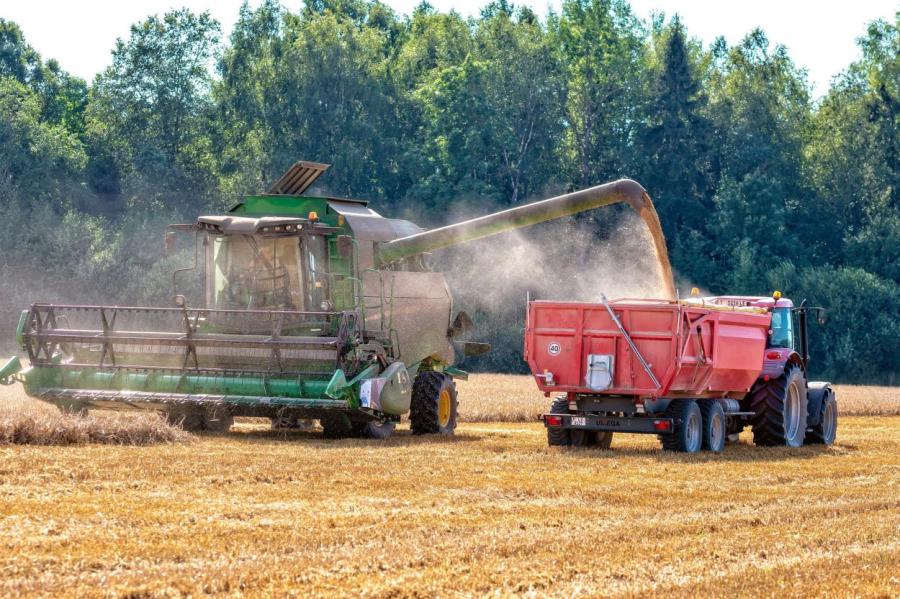 Российское зерно вытесняет продукцию латвийских крестьян — Минземледелия
