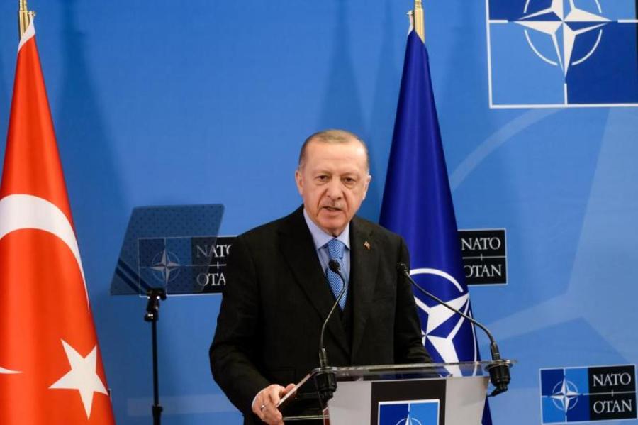 Эрдоган поддержал вступление Украины в НАТО