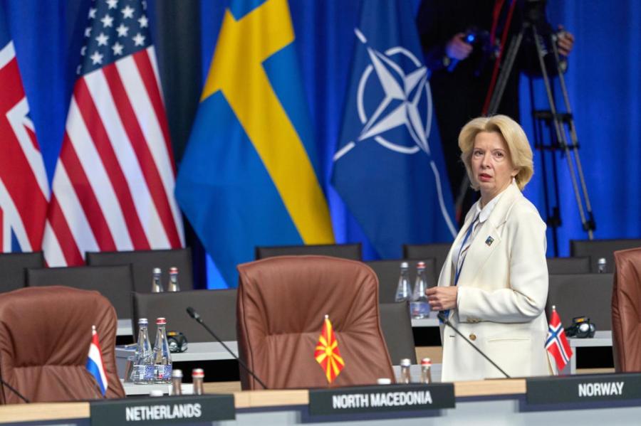 Мурниеце ответила на критику Зеленского в адрес НАТО