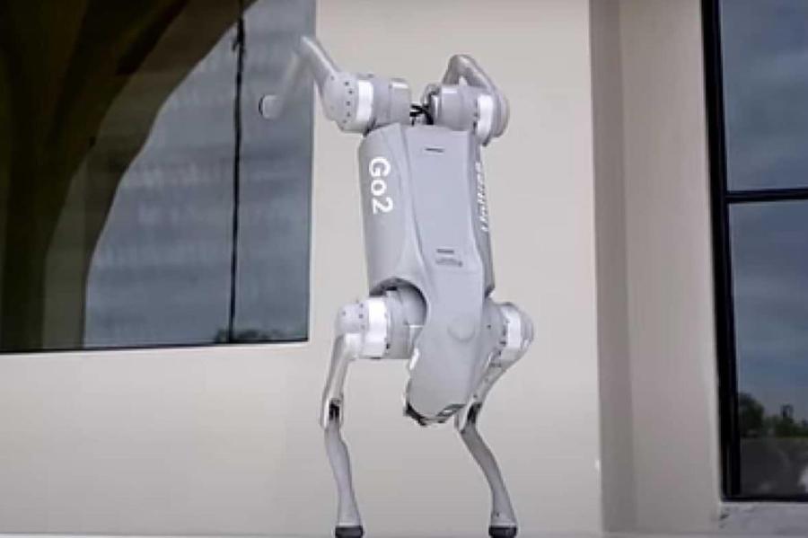Создана собака-робот, которая в 47 раз дешевле продукта Boston Dynamics (Видео)