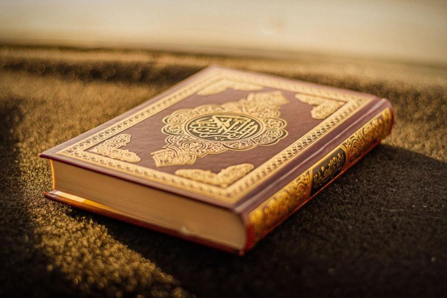 Дания и Швеция подумывают о запрете на сожжение Корана