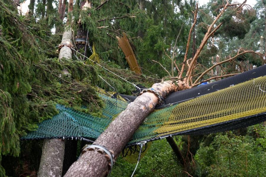 Бесплатные дрова? В лесах – 100 тысяч кубометров поваленной ураганом древесины