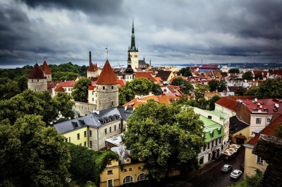 В Эстонии 50 тыс человек протестуют против введения налога на автомобили