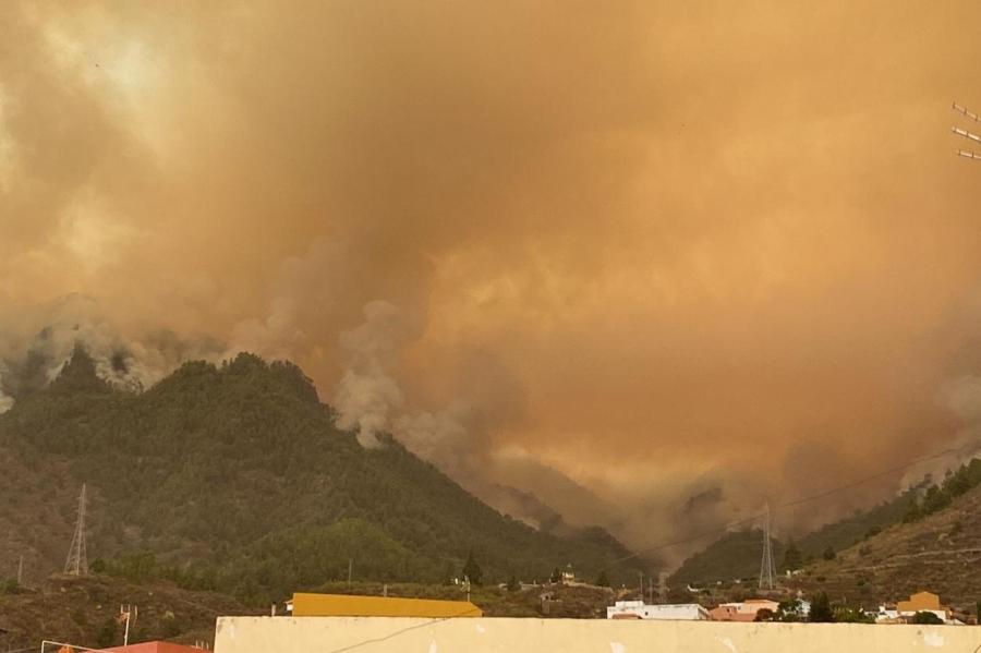 Пожары на Тенерифе могли начаться из-за поджогов