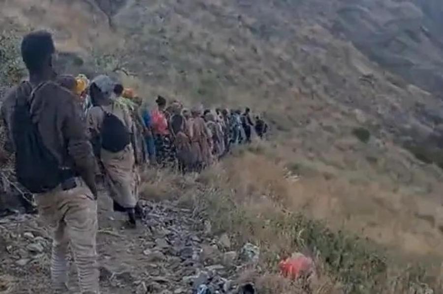 Сотни эфиопских мигрантов были убиты пограничниками Саудовской Аравии