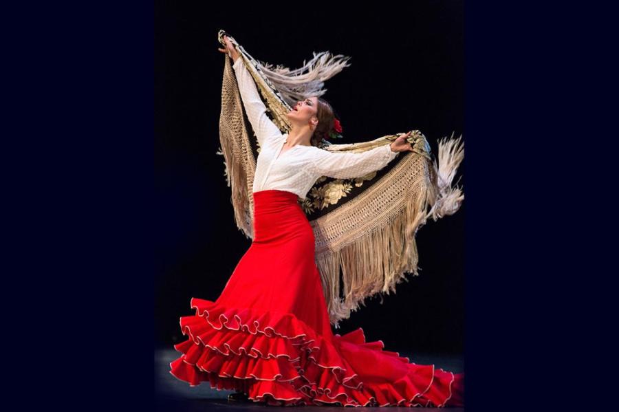 Танцевальный фестиваль: фламенко cante grande