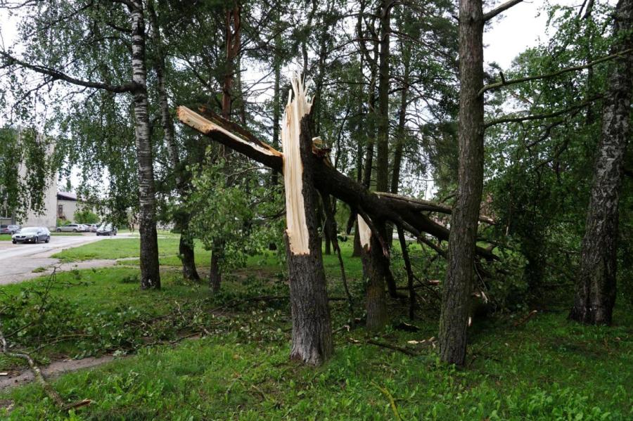 Вчерашняя непогода не причинила существенного ущерба Латвии